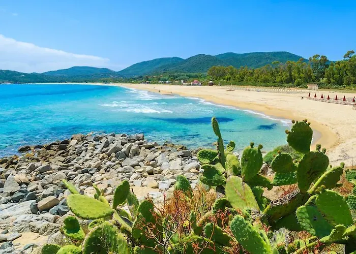 *500 Metri Dal Mare* Free Parking/wifi Ferienhaus *